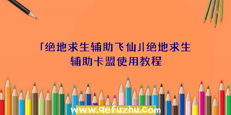 「绝地求生辅助飞仙」|绝地求生辅助卡盟使用教程